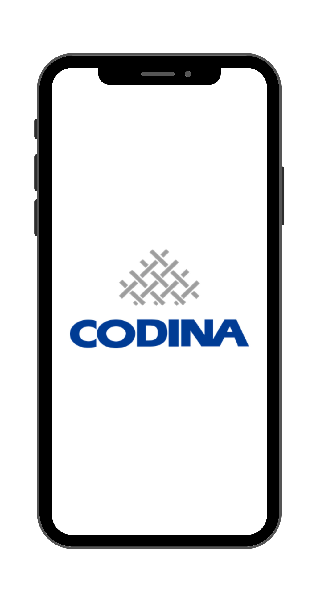 codina screen 1