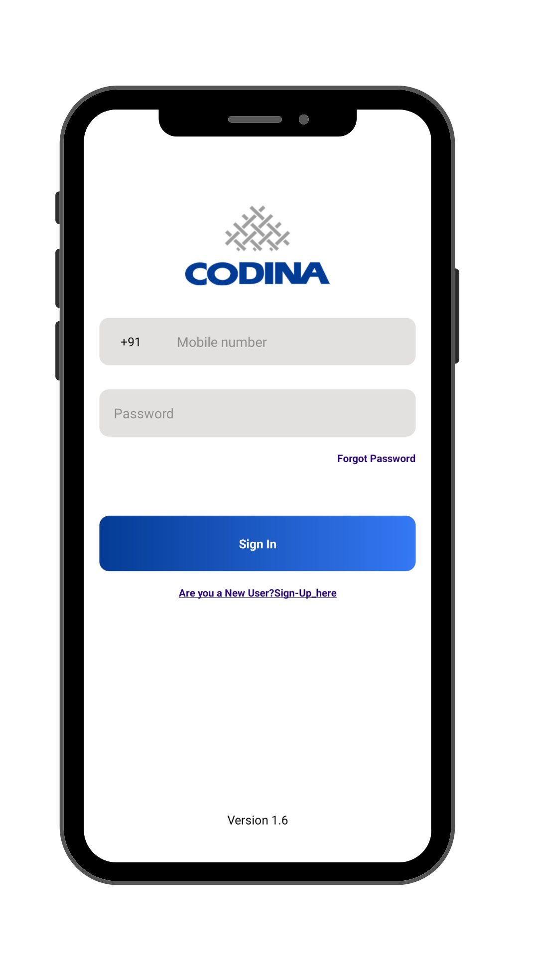 codina screen 3